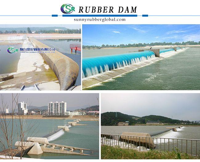 Caoutchouc Dam1 (001)