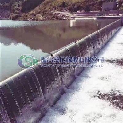 Barrage de support d'airbag pour le contrôle de l'eau