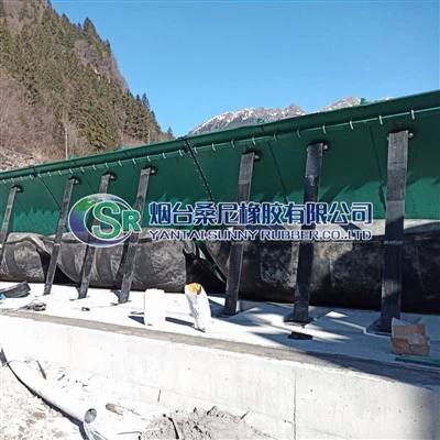 Porte de déversoir écologique avec passe à poissons