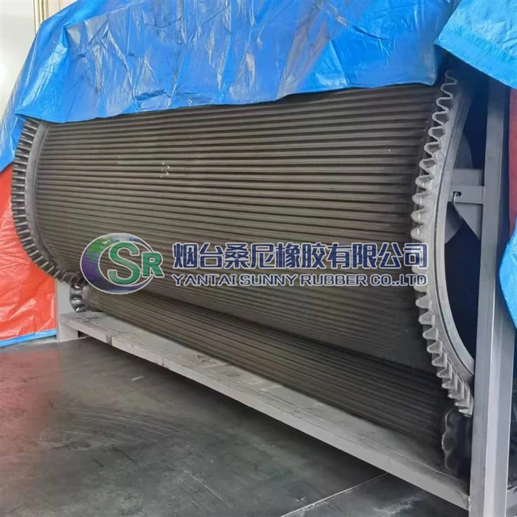 Ceinture de filtration en caoutchouc/ceinture filtrante/ceinture industrielle