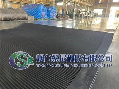 Ceinture de Filtration sous vide EPDM, bande filtrante en caoutchouc personnalisée en usine, pour la déshydratation des boues de filtre à bande sous vide horizontale